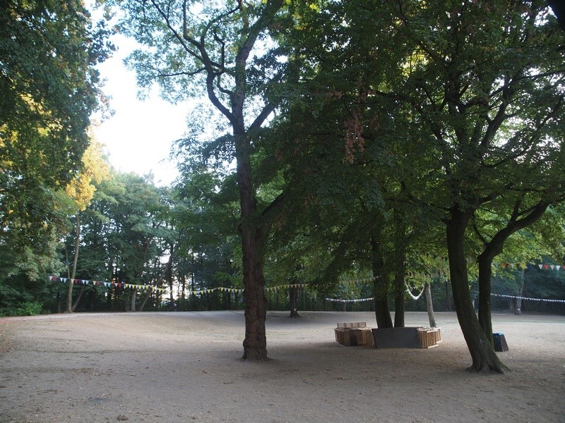 P8039473 RHorz.jpg