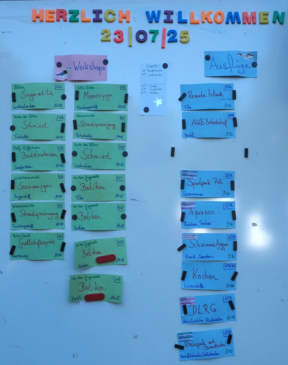 P7233532 RHorz x.jpg