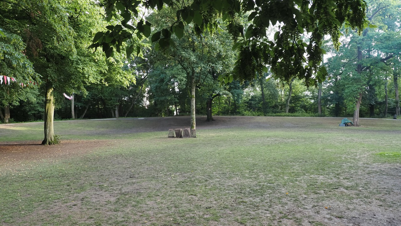 P8014537 RHorz.jpg